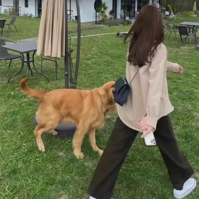 骗不了人的男人